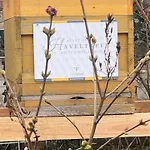 Hotel Haveltreff 4*