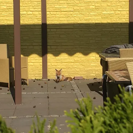 Haveltreff Hotel Caputh