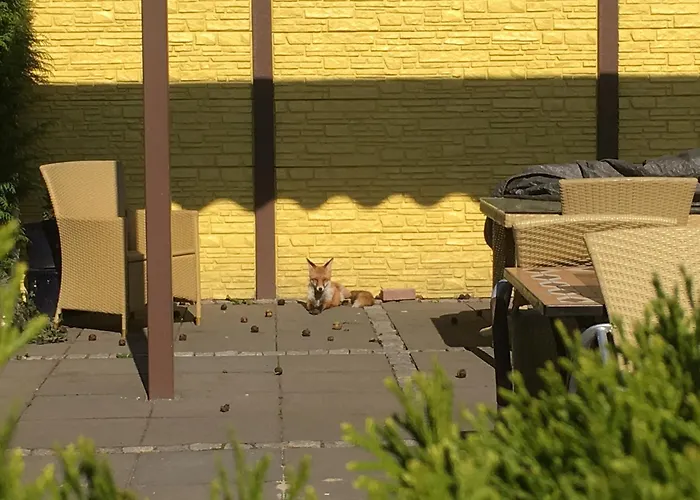 Haveltreff 호텔 카푸트